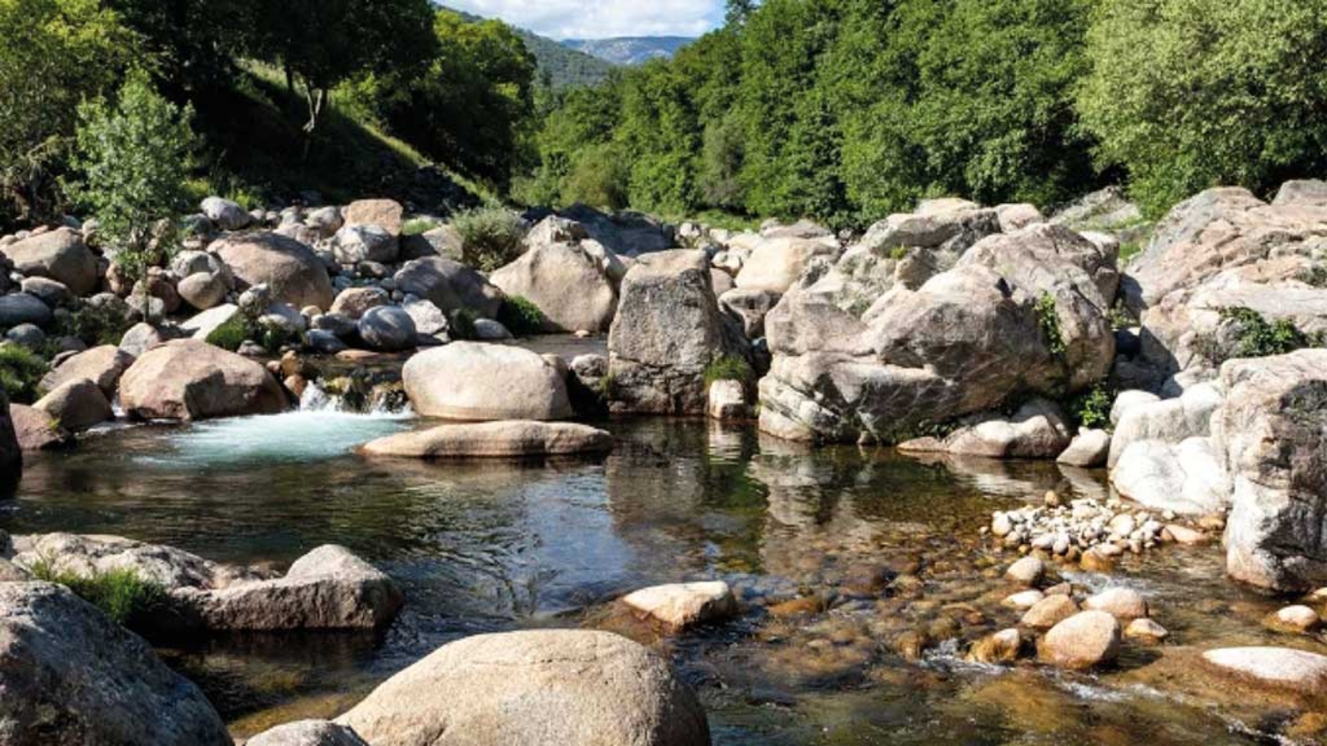 Proyecto - Estudio areas naturales de baño